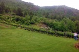Columbia Gardens Vinyard 2