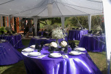 Columbia Gardens Wedding 1