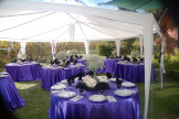 Columbia Gardens Wedding 3