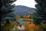 Columbia Gardens Winery Fall