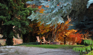 Outside Sitting Area