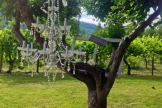 Winery Wedding 10