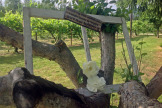 Winery Wedding 11
