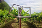Winery Wedding 12
